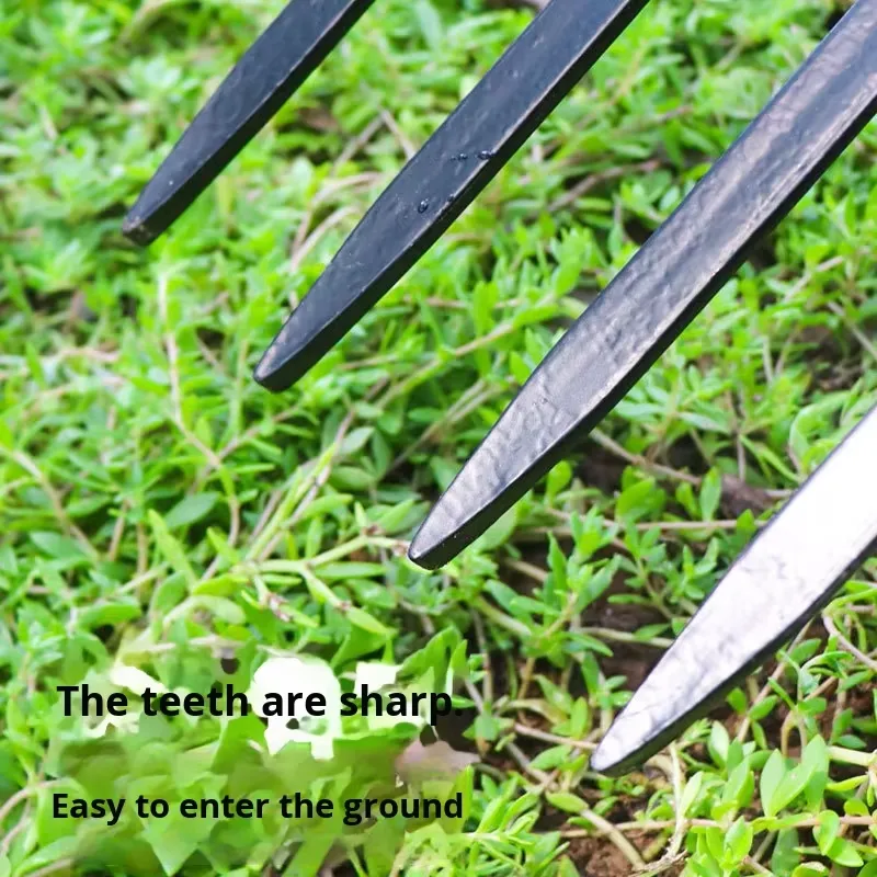for Four Tooth Steel Iron Fork - Spade Digging Fork 评论和价格