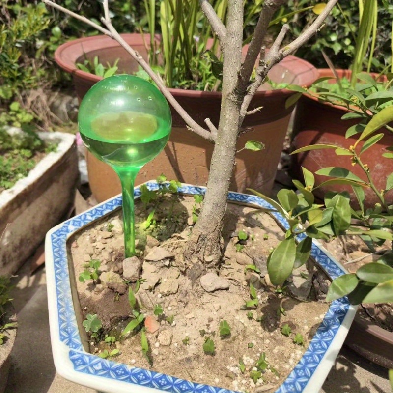 6PCS Indoor Plants Self Wateri - Automatic Plant Waterer 评论和价格