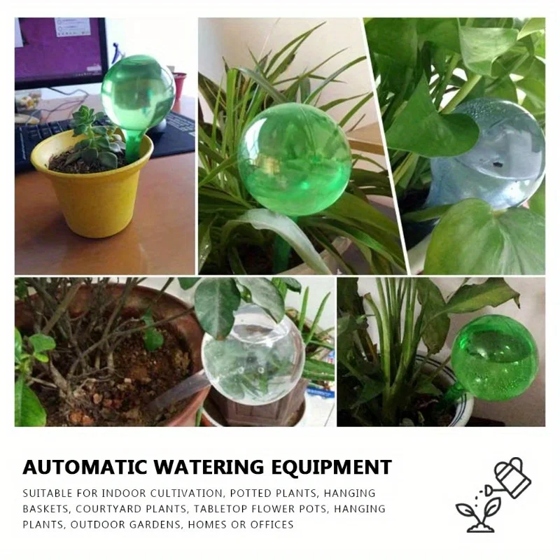 6PCS Indoor Plants Self Wateri - Automatic Plant Waterer 评论和价格