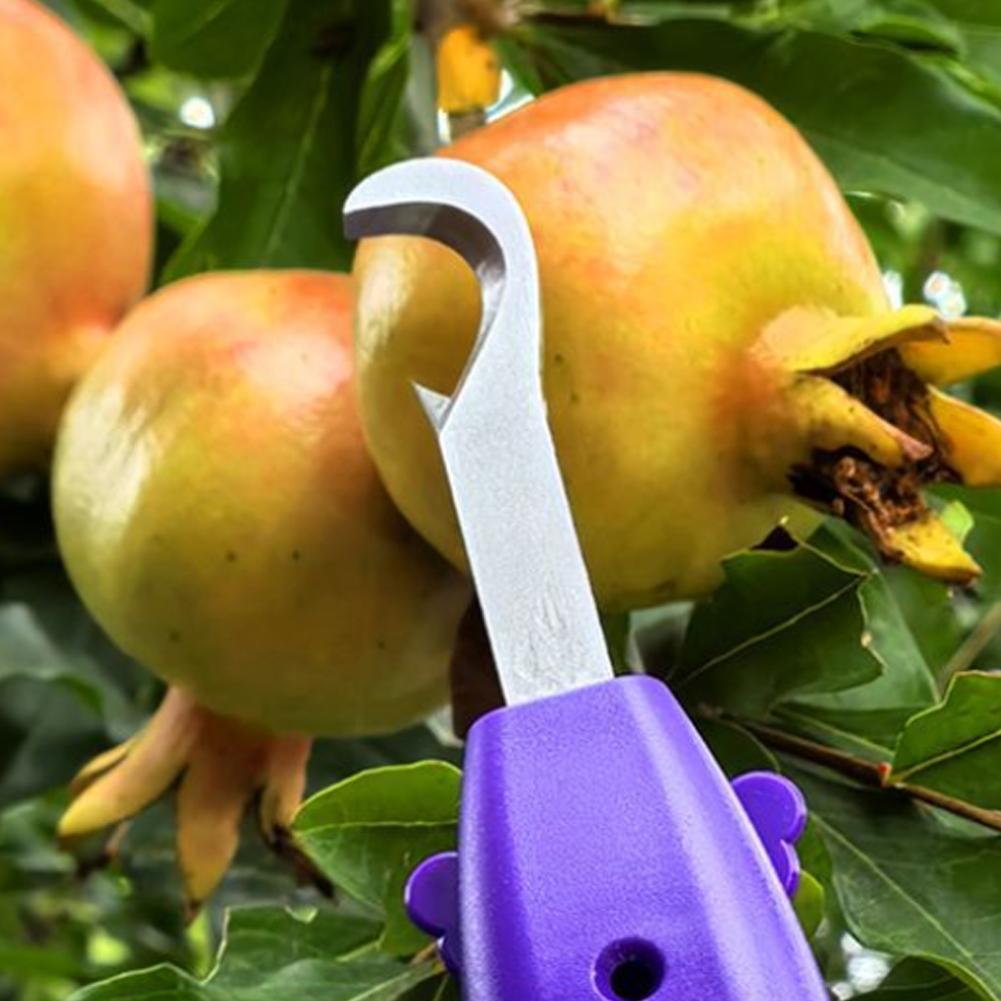 Portable Fruit Vegetable Quick - Gardening Tools Vegetables 评论和价格