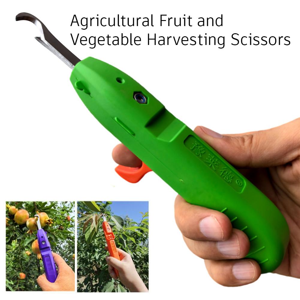 Portable Fruit Vegetable Quick - Gardening Tools Vegetables 评论和价格