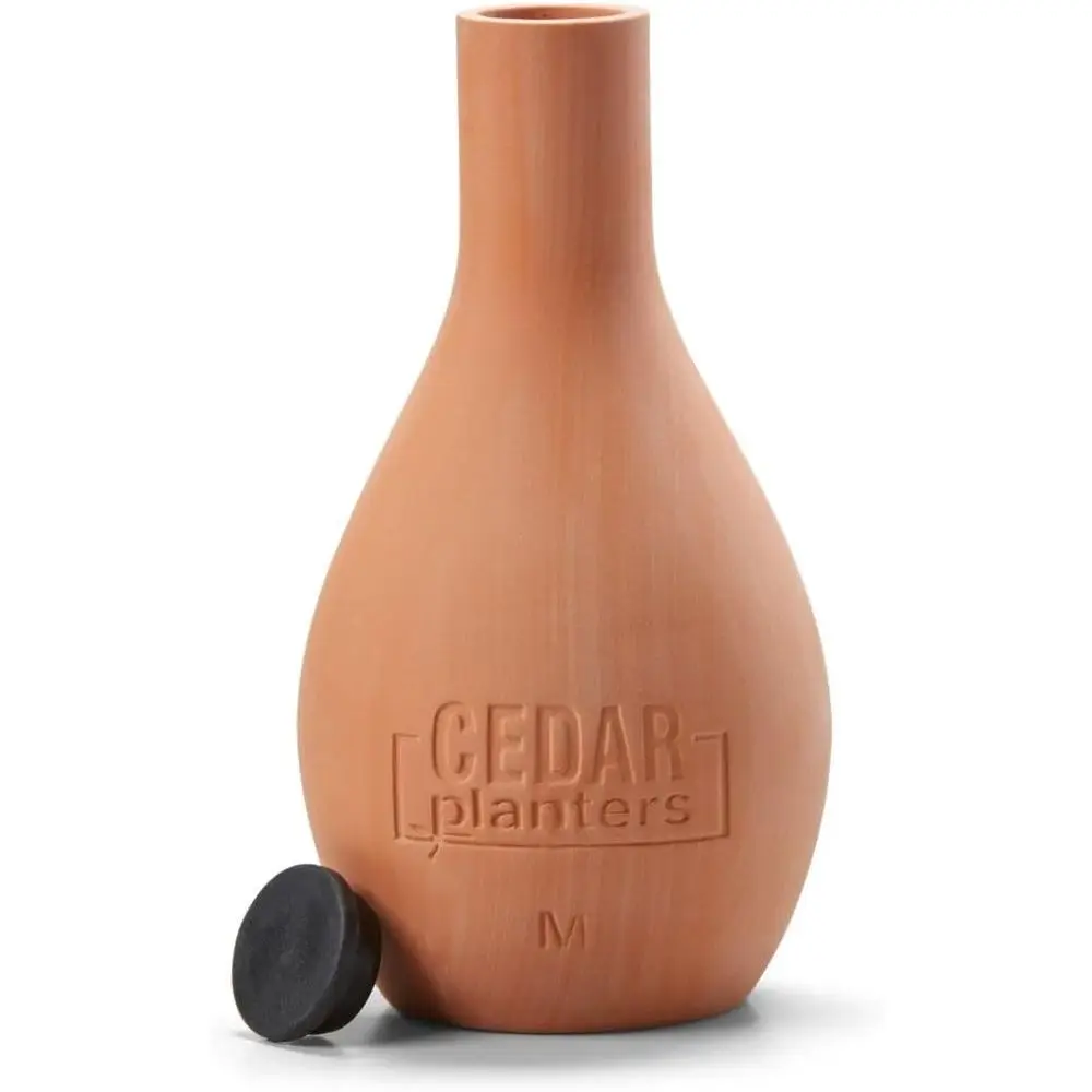 Self-Watering Ceramic Olla Pot - Self-Watering Planter 评论和价格
