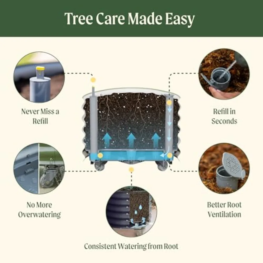 Rolling Citrus Tree Planter Ge - Self-Watering Planter 评论和价格