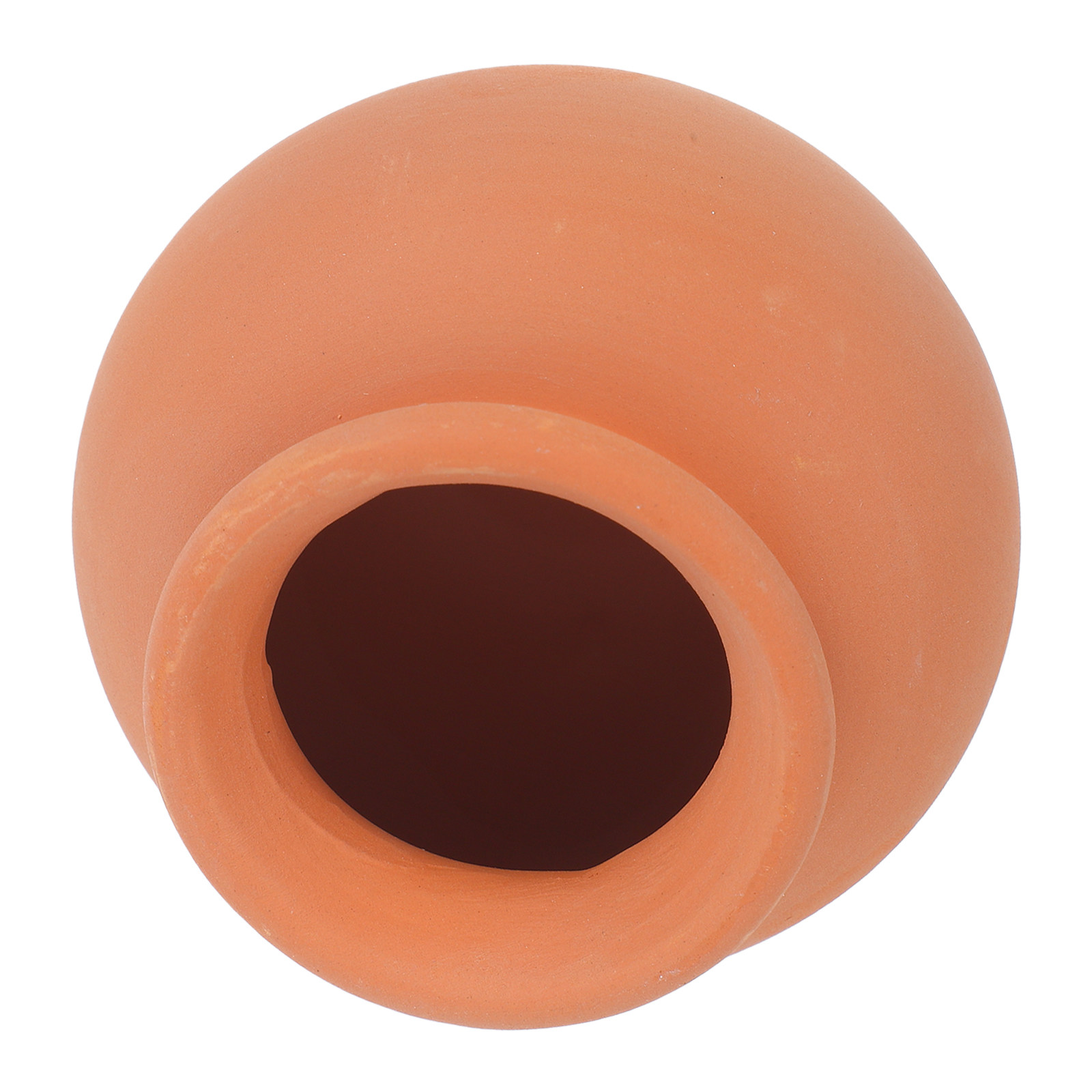 Terracotta Self Watering Spike - Automatic Plant Waterer 评论和价格